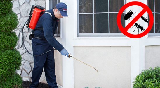 Bahşili Dezenfeksiyon böcek ilaçlama ve haşere kontrolü — ilaclama-tr.com